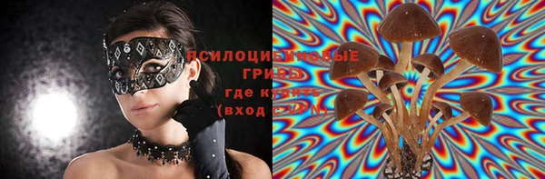 стафф Балахна