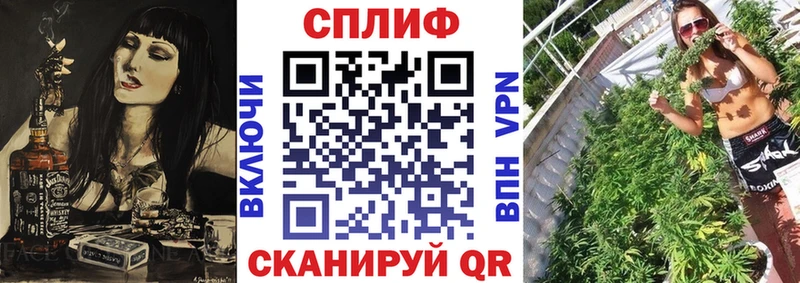 Конопля MAZAR  магазин продажи   Среднеуральск 